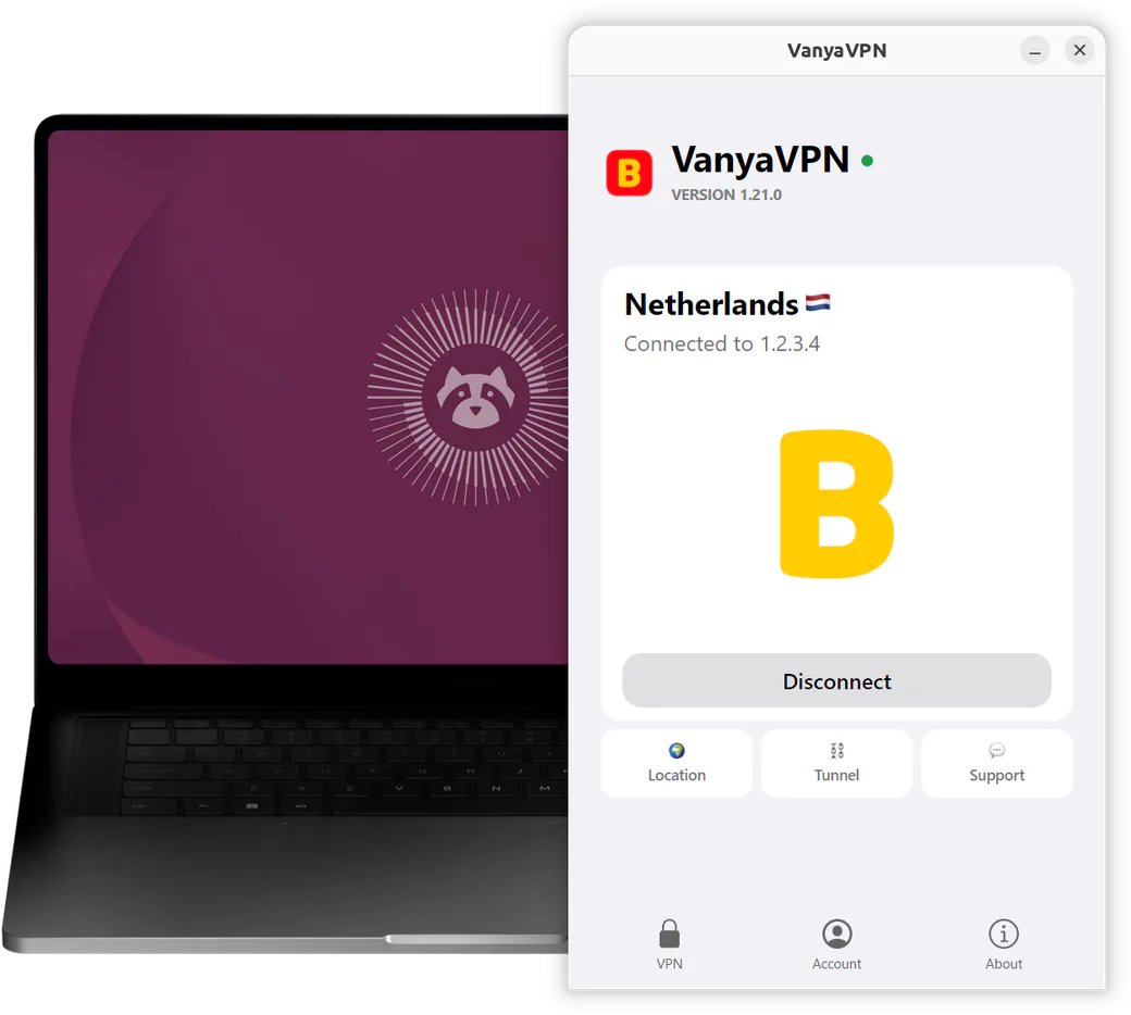 The VanyaVPN window on an Ubuntu laptop: connected, location Netherlands